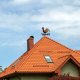 Vilde Kogut pogodowy róża wiatrów 8