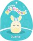 Jazwares SQUISHMALLOWS Maskotka Szakalop Juana 40 cm 5