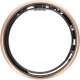 Smartwatch OEM Smart Ring R11M- inteligentny pierścień ze stali ze stacją ładującą rozmiar 11 (20,6mm) złoty 1