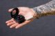 Smartwatch OEM Smart Ring R8- inteligentny pierścień ceramiczny ze stacją ładującą rozmiar 15,4mm czarny 7