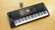 Korg Keyboard Korg EK-50 11