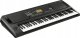 Korg Keyboard Korg EK-50 2