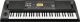 Korg Keyboard Korg EK-50 3