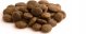 Fish4Dogs Fish4Dogs Finest z łososiem Adult (S) 1,5kg 2