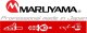 Maruyama MARUYAMA HNJ-132B ROZDRABNIACZ SPALINOWY REBAK DO GAŁĘZI JEZDNY NA GĄSIENICACH Mitsubishi 13KM 6