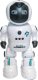 Inteligentny Programowany Robot sterowany pilotem gestem 4