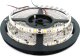 Taśma LED Ecolight Taśma LED 14.4W/m 6500K 800lm/m 12V IP20 /50m/ 2