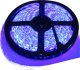Taśma LED Ecolight Taśma LED 300 4.8W/m NIEBIESKA 12V IP20 /5m/ 1