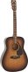 Yamaha Yamaha F310P Tobacco Brown SB - Gitara akustczyna (Zestaw) 3