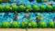 Nintendo Switch The Legend of Zelda: Link´s Awakening 7