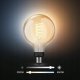 Philips PHILIPS Hue White Filament Globe 7W E27 G93 DIM 19