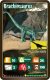 Winning Moves Gra Top Trumps Dinozaury 2