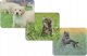 Podkładka Hama PODKŁADKA POD MYSZ "ANIMAL" - DISPLAY 12 SZT. 1