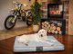 Hobbydog XL MATERAC POPIEL EKOLEN* 3