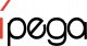 Pad Ipega Kontroler bezprzewodowy / GamePad iPega PG-9156 (czarny) 13