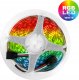 Taśma LED Prescot 24E024-100-10-RGB+W taśma LED biała 3