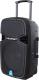 Kolumna Blaupunkt PA15 700 W 2