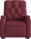 vidaXL Podnoszony fotel masujący, elektryczny, rozkładany, bordowy 9