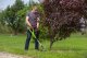 4Garden Podkaszarka APK2521 4GARDEN Akumulatorowa 20