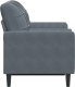 vidaXL vidaXL 2-osobowa sofa z poduszkami, ciemnoszara, 120 cm, aksamit 4