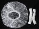 Activeshop Jednorazowe czepki foliowe 100 szt. 3