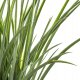 Atmosphera Sztuczna trawa w doniczce, 46 cm 3