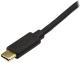 Kieszeń StarTech USB-C 3.2 Gen 2 - 2.5"/3.5" SATA (USB31C2SAT3) 2