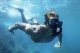 Bestway Bestway Hydro-Pro BlackSea Snorkel & Fin Set, Adult, Half face mask, Tempered glass, Assorted colours, Silicone, 43-48 39