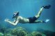 Bestway Bestway Hydro-Pro BlackSea Snorkel & Fin Set, Adult, Half face mask, Tempered glass, Assorted colours, Silicone, 43-48 41