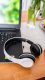 Słuchawki PrzydaSie Słuchawki Bezprzewodowe Nauszne Bluetooth P47 Mp3 5