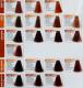 Renee Blanche Haute Coiffure Farba do włosów w kremie 9.83 ( Dawniej 9.15NC ) - bardzo jasny orzechowy blond 100 ml 5