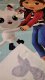 Jerry Fabrics Ręcznik Koci domek Gabi 70x140 kąpielowy plażowy Jerry Fabrics 2