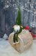 Saska Garden SKRZAT KRASNAL GNOM DEKORACYJNY 30+15CM ZIELONY 14
