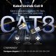 Unitek Kabel Ethernet RJ-45, Cat.8, S/FTP, czarny, 1m (C18149AGY03-1M) 4