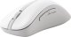 Mysz Asus Asus Wireless Mouse | MD102 | Mouse | 2.4 GHz, Bluetooth | White 1