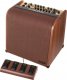 Static Control TC Helicon Harmony V100 Combo do instrumentów akustycznych 100w 1