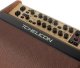 Static Control TC Helicon Harmony V100 Combo do instrumentów akustycznych 100w 5