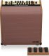Static Control TC Helicon Harmony V100 Combo do instrumentów akustycznych 100w 6