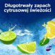 Domestos Zawieszka do WC Domestos Power 5 50g Lime (2) 1