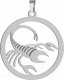 Radziszewska Jewellery Zawieszka Srebrna Znak Zodiaku SKORPION Srebro 925 Prezent DEDYKACJA GRATIS 2