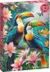 Platon *****Puzzle 1000 Cherrypazzi ToucansPparadis.30769 1