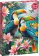 Platon *****Puzzle 1000 Cherrypazzi ToucansPparadis.30769 3