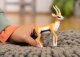 Figurka Schleich SLH gazela Thomsona 14861 63948 1