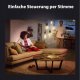 Philips Philips Hue White Ambiance E27 Filament 3erPack 3