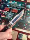 Quercus Publishing Among Cultists: A Social Deduction Thriller 4