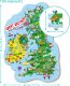 Dodo Puzzle "Mapa Wielkiej Brytanii i Irlandii" 100 Elementów Układanka Zestaw 4
