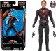 Figurka Hasbro Hasbro Marvel Legends Ant-Man Quantumania 16Cm 3