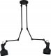 EGLO EGLO TAKELEY, 2 bulb(s), E27, IP20, Black 1