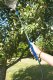 Garden King Opryskiwacz ciśnieniowy ręczny 5 l z lancą spryskiwacz ogrodowy 2