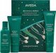 Aveda AVEDA_SET Botanical Repair Shampoo szampon wzmacniający do włosów 100ml + Botanical Repair Strengthening Conditioner odżywka do włosów 100ml + Botanical Repair Strengthening Leave-In Treatment wzmacniająca kuracja do włosów bez spłukiwania 100ml 2